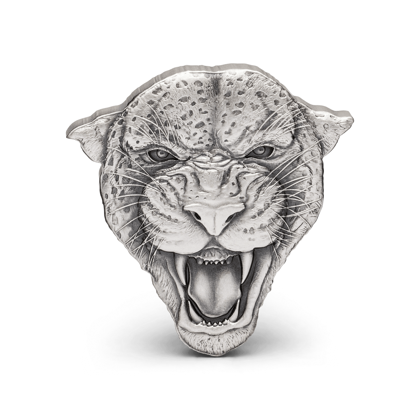 The elusive feline, the Leopard, features on this exquisite 2oz pure silver coin. Features the head of a leopard with its terrifying gaze and growl. The leopard’s facial features and spotted fur are depicted with a beautiful antique finish. - New Zealand Mint