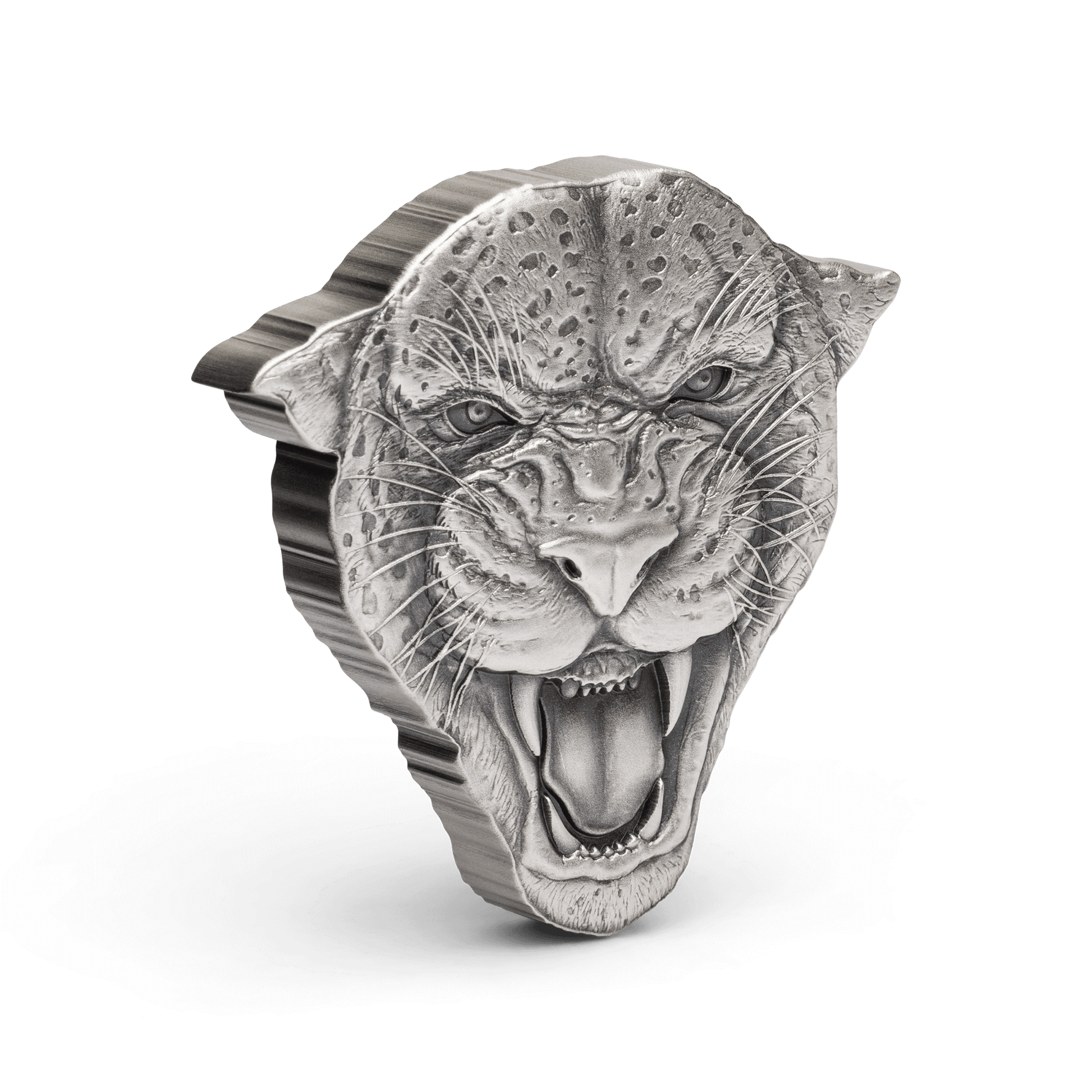 The elusive feline, the Leopard, features on this exquisite 2oz pure silver coin. Features the head of a leopard with its terrifying gaze and growl. The leopard’s facial features and spotted fur are depicted with a beautiful antique finish. - New Zealand Mint